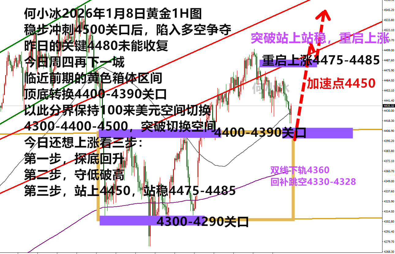 何小冰：金价又有选择，文明礼让先下后上